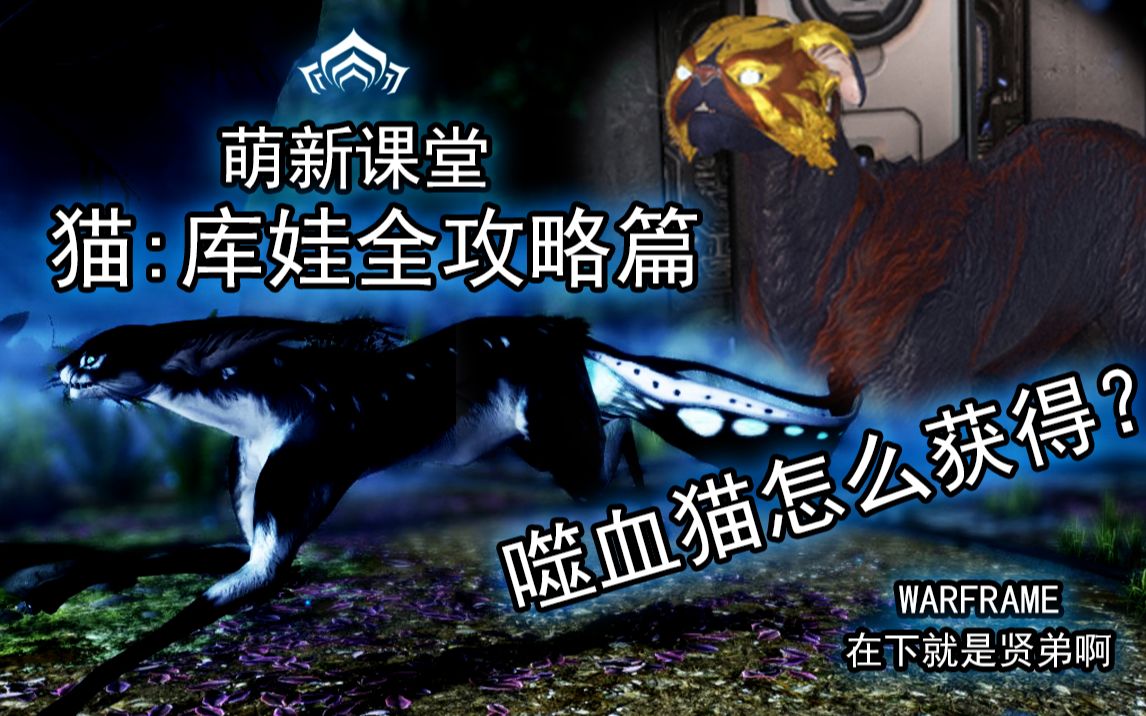 【Warframe】猫:库娃全攻略 如何获得自己的猫?怎么切片?猫基因在哪?长的丑咋办?怎么获得一只噬血型库娃?6极化参考!哔哩哔哩bilibili