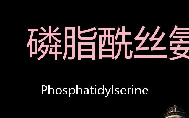 磷脂酰丝氨酸 Chinese Pronunciation Phosphatidylserine哔哩哔哩bilibili