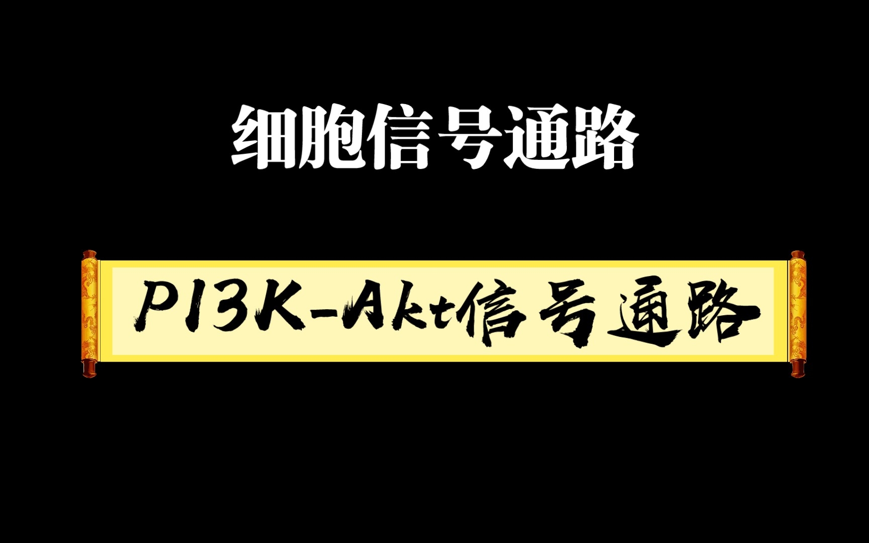 细胞信号通路系列6一PI3KAkt哔哩哔哩bilibili