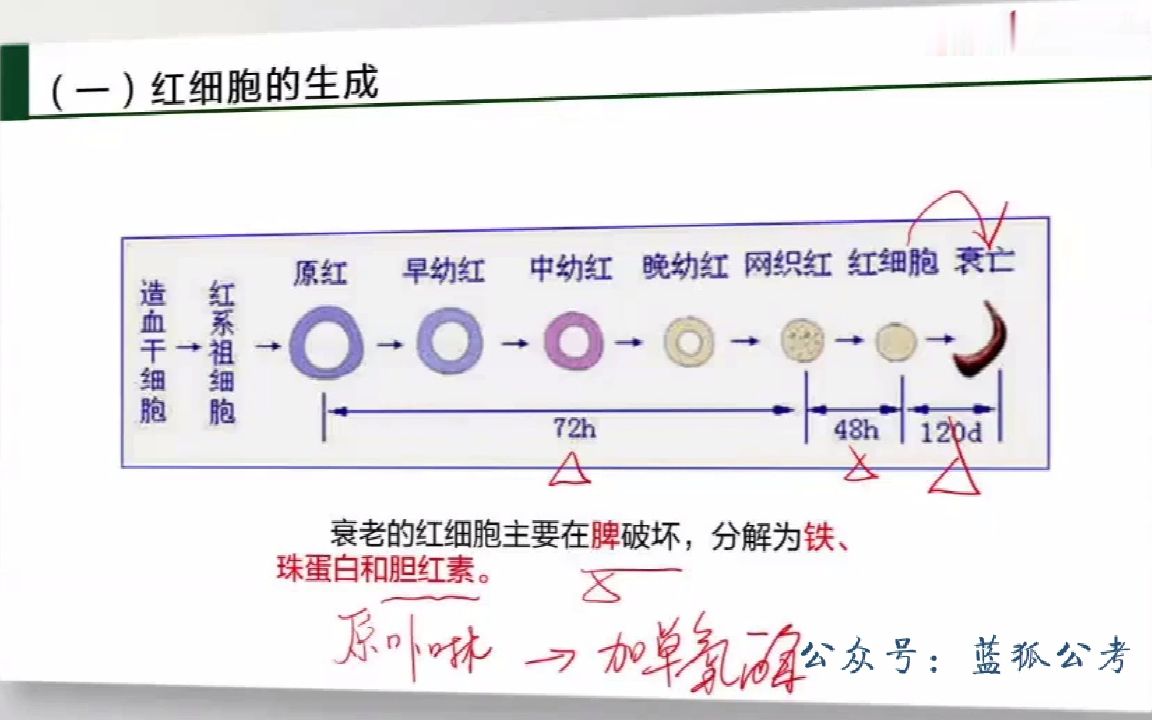 002.02军队文职医学类(医学检验技术)临床检验基础第二节01哔哩哔哩bilibili