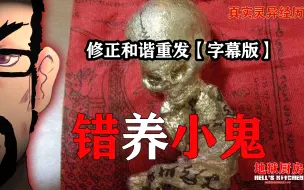 下载视频: 错养小鬼【真实灵异经历】