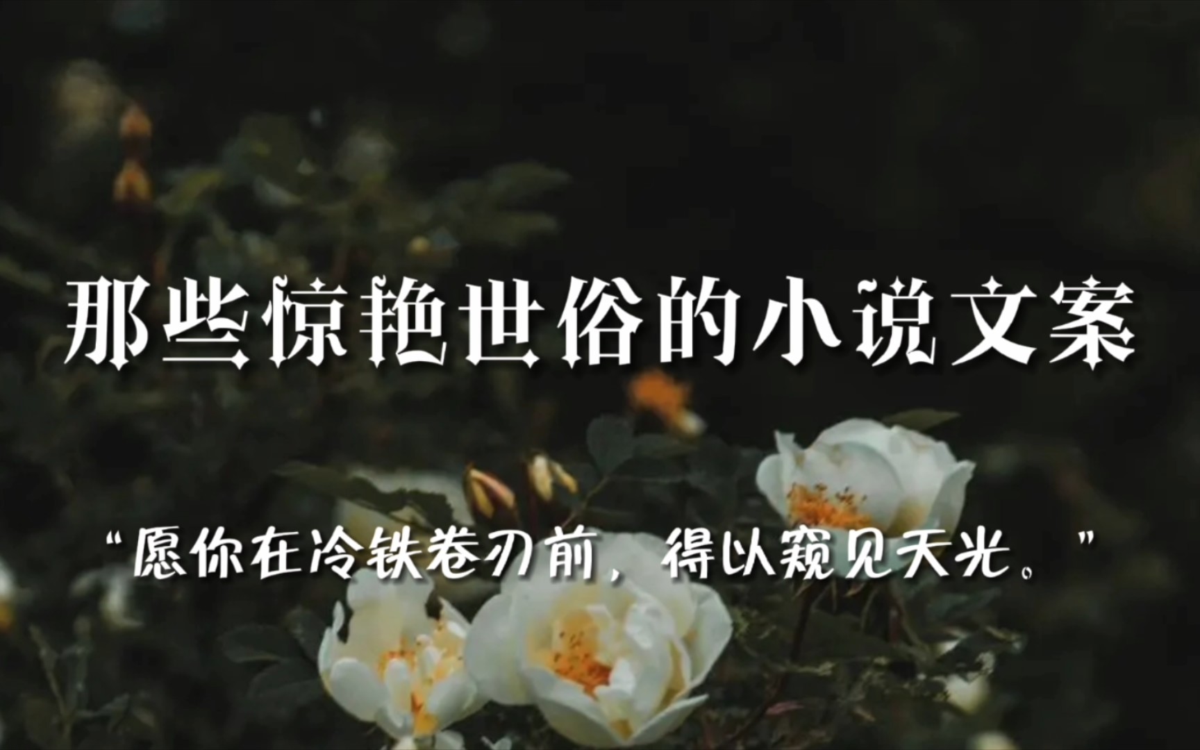 “愿你在冷铁卷刃前,得以窥见天光.”丨那些惊艳世俗的小说文案哔哩哔哩bilibili