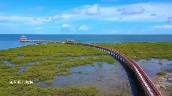 Video herunterladen: 防城港最长最美点海上栈道，零距离接触大概海和红树林