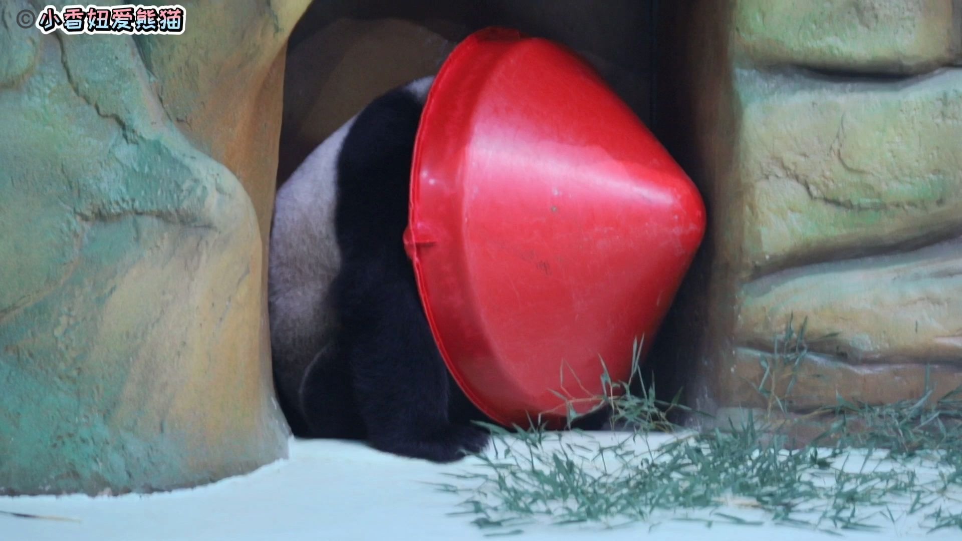 活动  大熊猫暖暖:头顶锅盖是个什么造型?