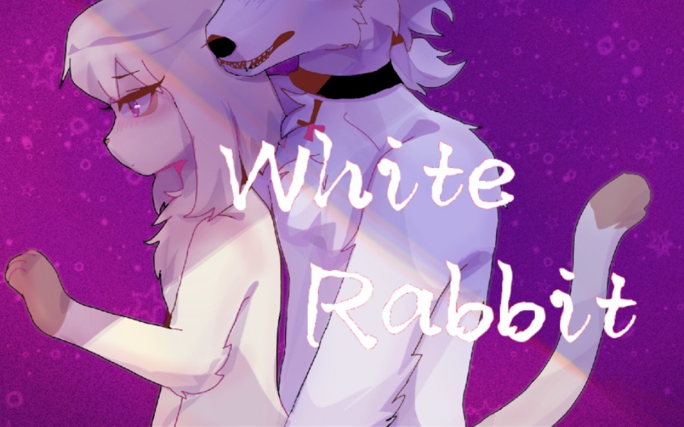 【狐猫】White RabbitAnimation meme哔哩哔哩bilibili