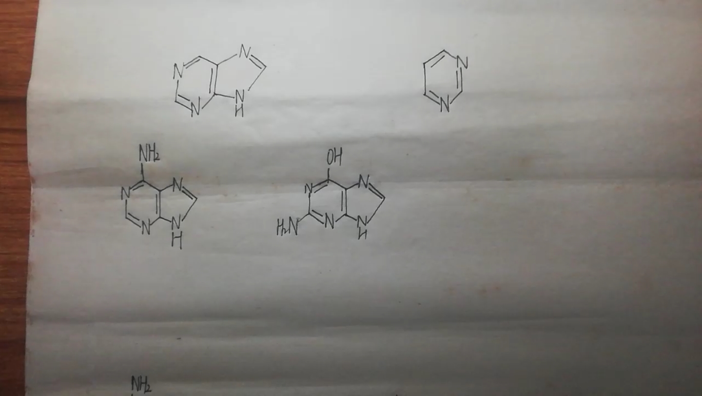 高中生物冷知识——ATCGU的结构和互变异构体哔哩哔哩bilibili