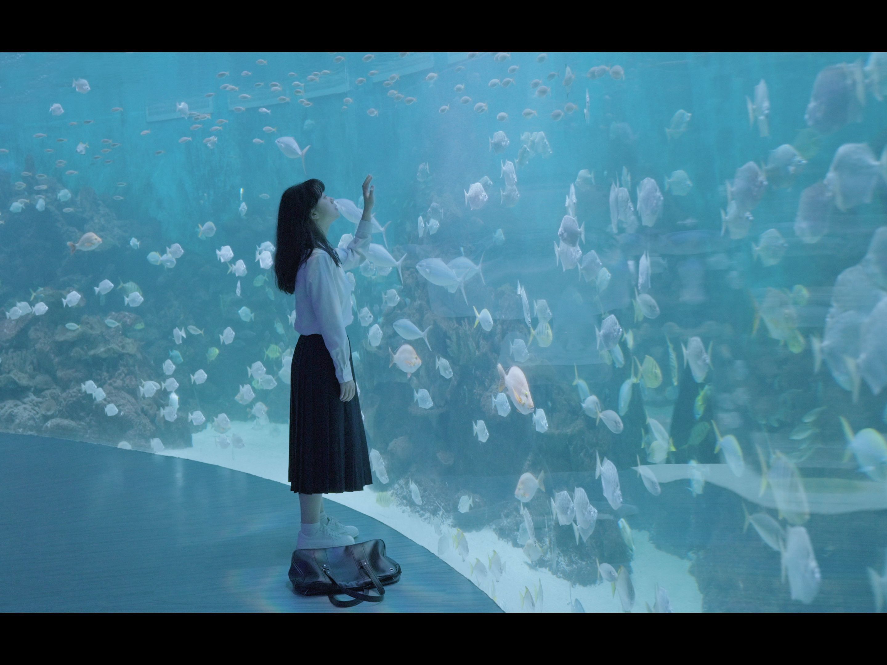 海洋馆拍一组氛围感人像 成都旅拍 | vivo x100 ultra实拍体验