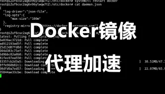 Download Video: 2024自建Docker镜像代理加速，3分钟部署完毕