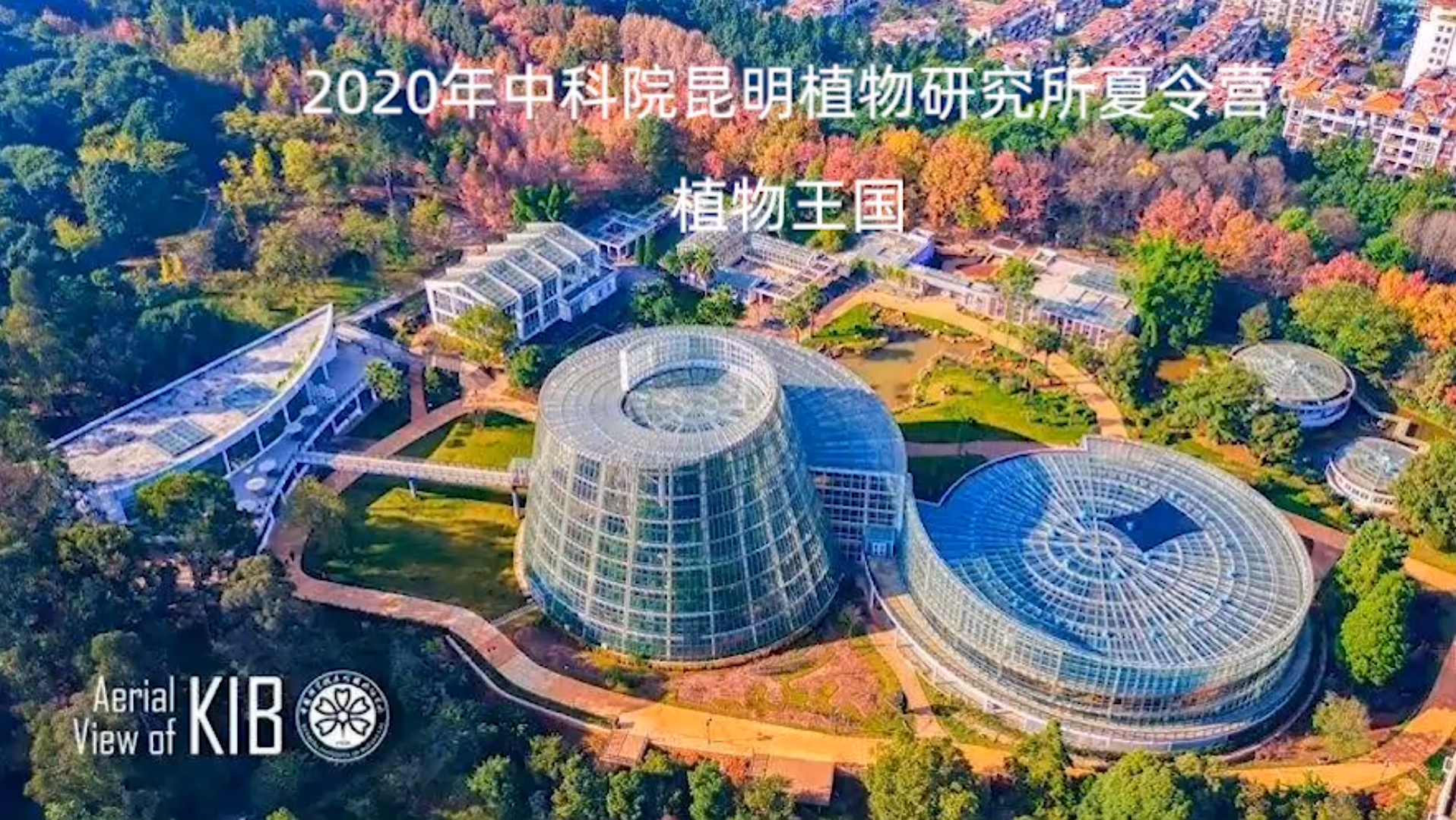 KIB2020中科院昆明植物研究所夏令营植物王国(不是本人剪辑的,仅是为了留作纪念)哔哩哔哩bilibili