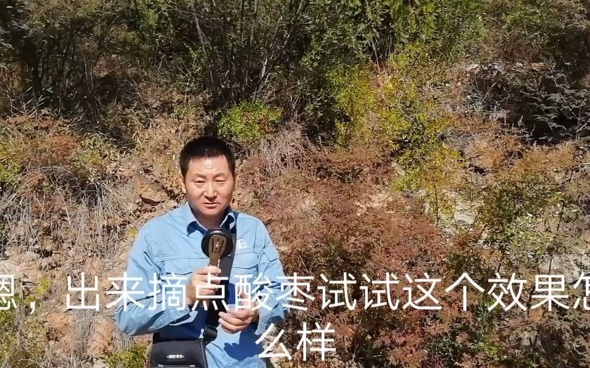 简单组装秒变摘酸枣神器这效率杠杠滴哔哩哔哩bilibili