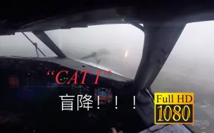 Download Video: 【驾驶舱视角】 低能见度！波音737-800雨天一类盲降德国明斯特机场 ！