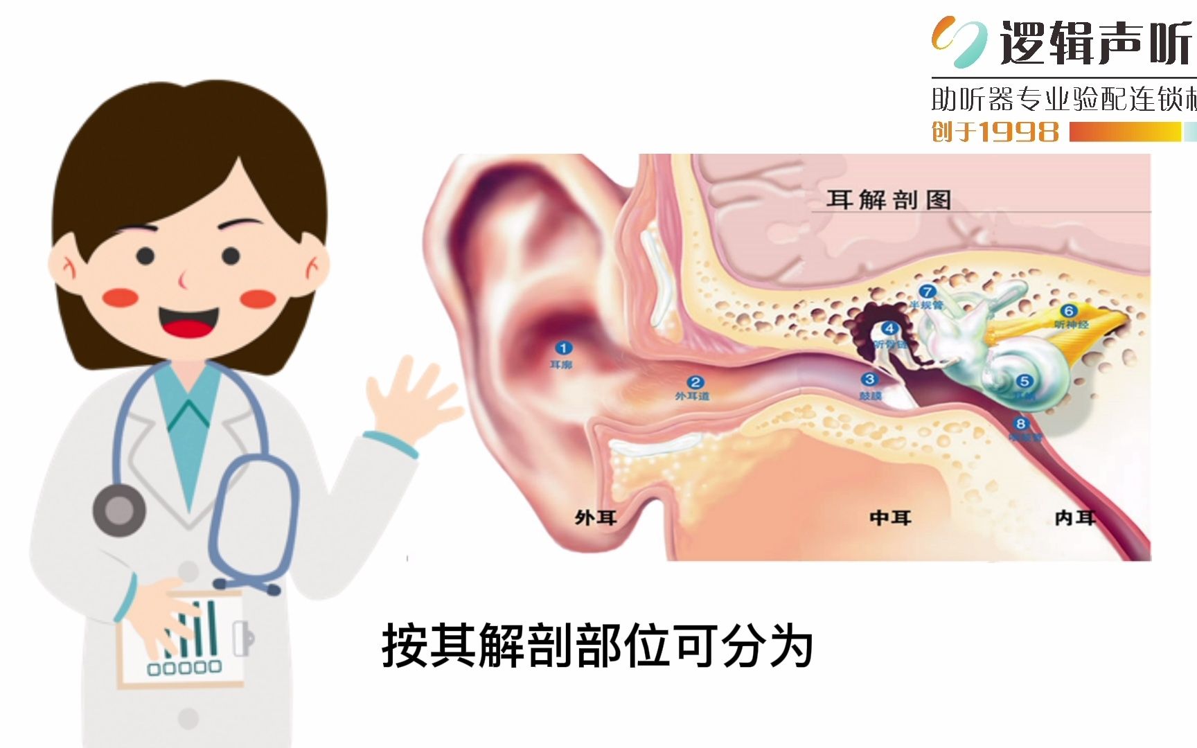 今日科普 二 耳部解剖之外耳哔哩哔哩bilibili