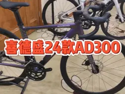 Descargar video: 喜德盛2024款AD300公路自行车，一体车把全内走线，升级4培林桶轴轮组，顺泰手变禧玛诺后拨，18档变速，线拉油碟