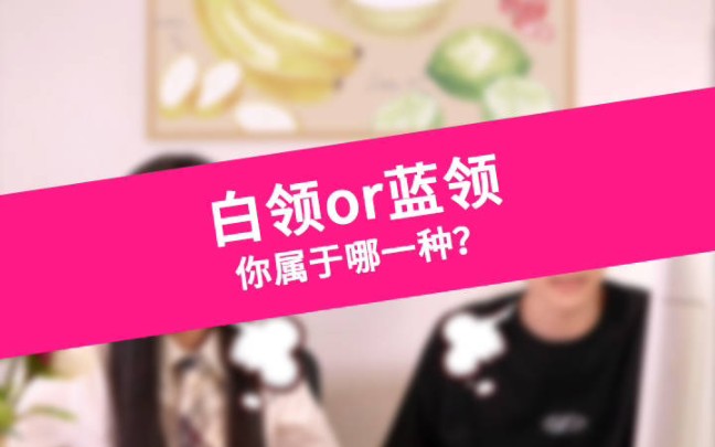 白领or蓝领,你属于哪一种?哔哩哔哩bilibili