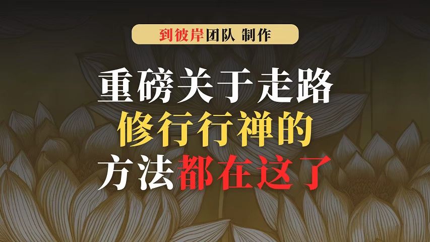 重磅!关于走路修行行禅的方法都在这了!哔哩哔哩bilibili