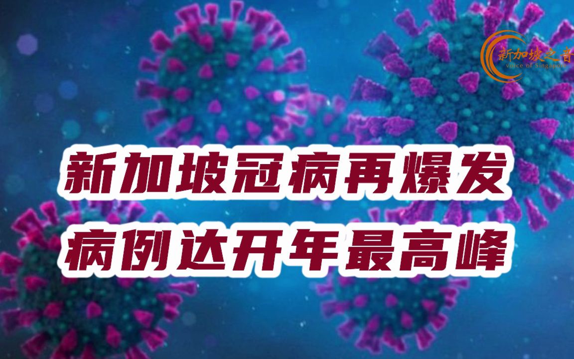 新加坡新冠、甲流再爆发,冠病病例一星期增加近一倍,达到开年以来最高峰.哔哩哔哩bilibili