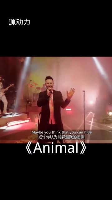 《Animal》—Maroon 5哔哩哔哩bilibili