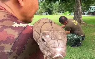 Скачать видео: 过山峰：我是大宝宝！我超级听话