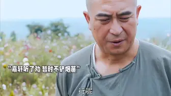 Download Video: 男子铲烟苗犹豫不决岂料姐夫帮起收回了人心