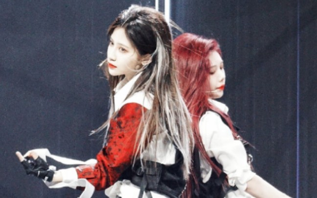 【黑喵】"小黑,你怎么骗人呢"