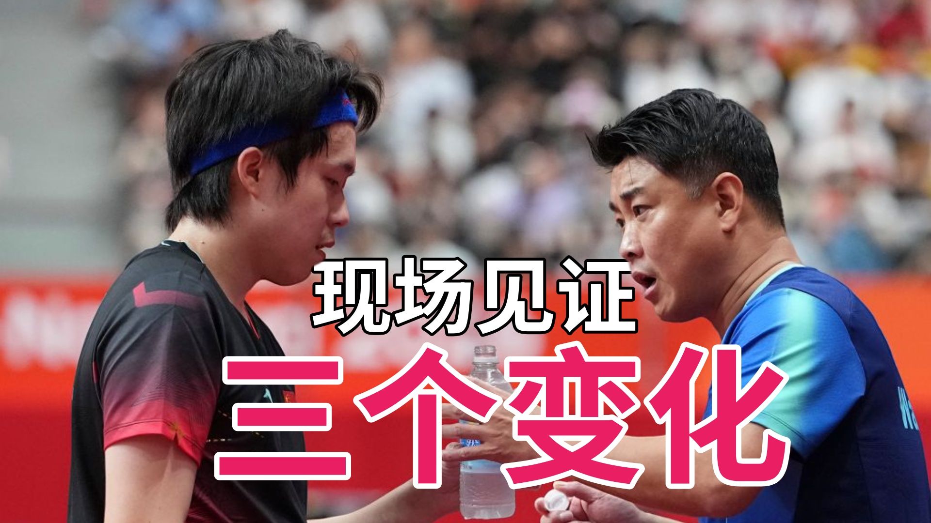 我在现场｜三个变化，看懂亚运输球