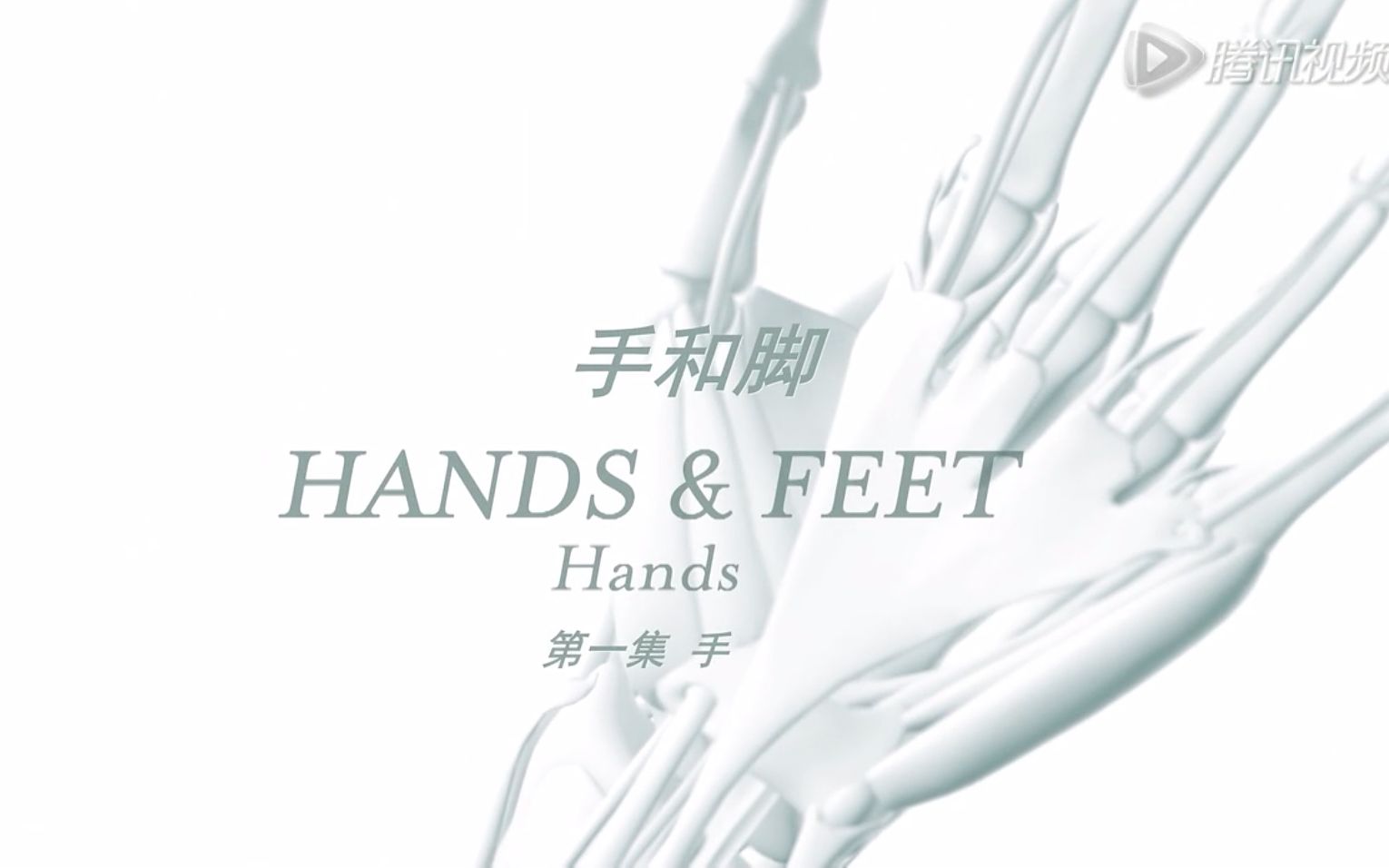 [图]【纪录片】手和脚 全2集 Hands & Feet (2016)