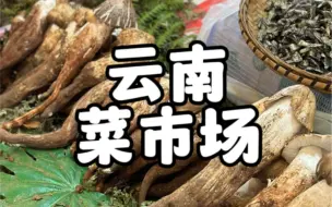 Download Video: 云南菜市场，食材真的顶，什么都想买点回家！