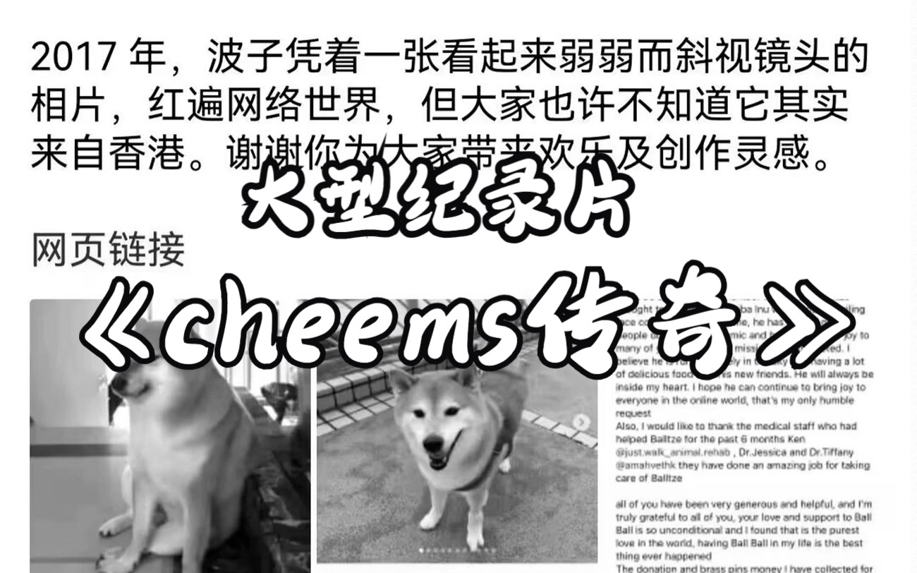 [图]大型纪录片《cheems传奇》“cheems，一路走好”