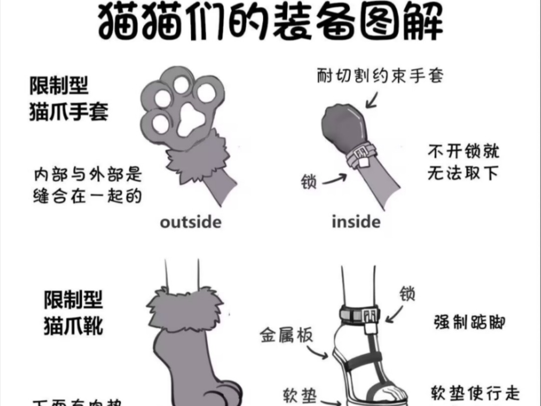 猫爪子和猫鞋子一起展示啦~哔哩哔哩bilibili