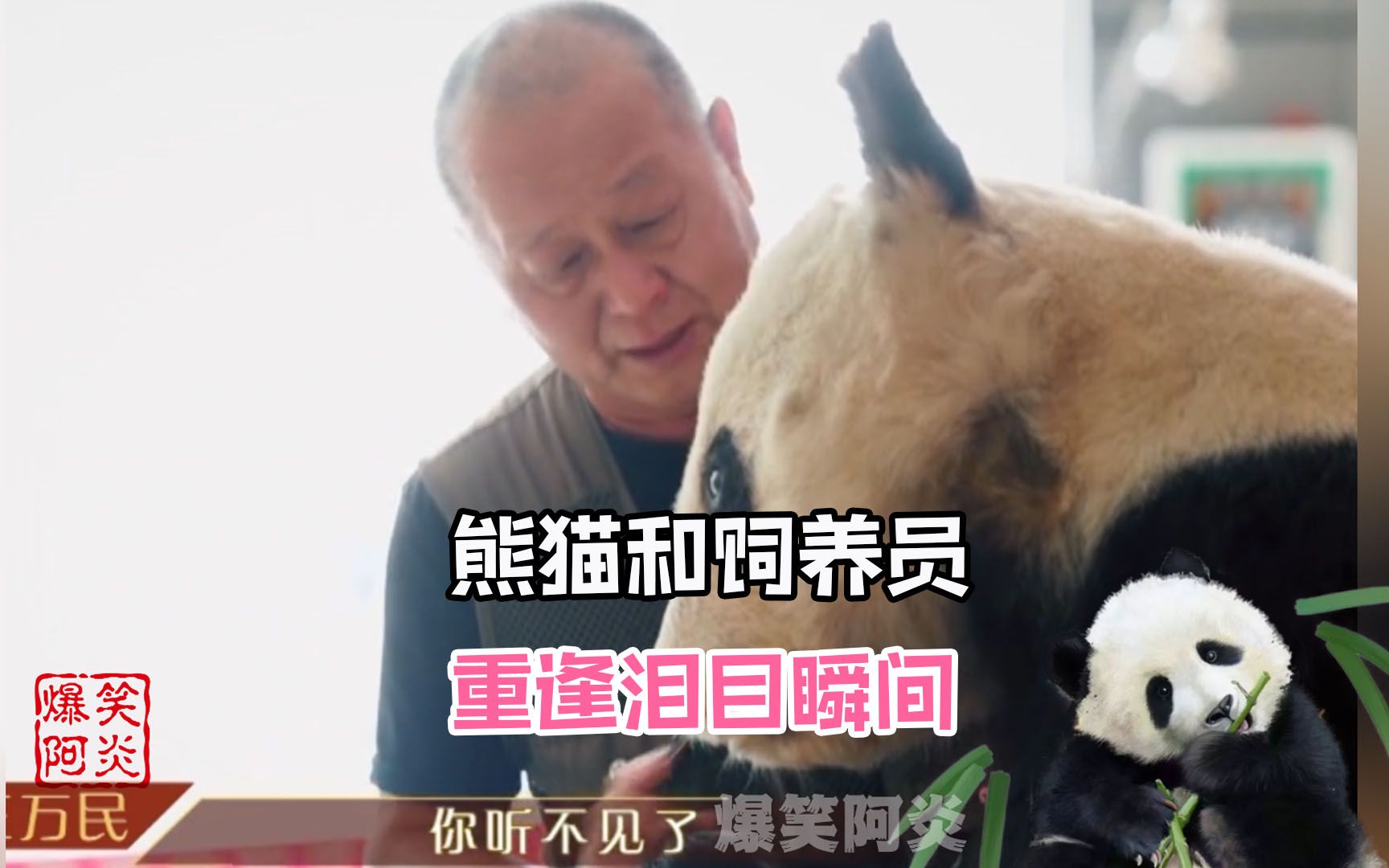 [图]熊猫和饲养员久别重逢泪目瞬间，丫丫时隔20年见到奶爸狂奔，暖暖奶爸集体庆生