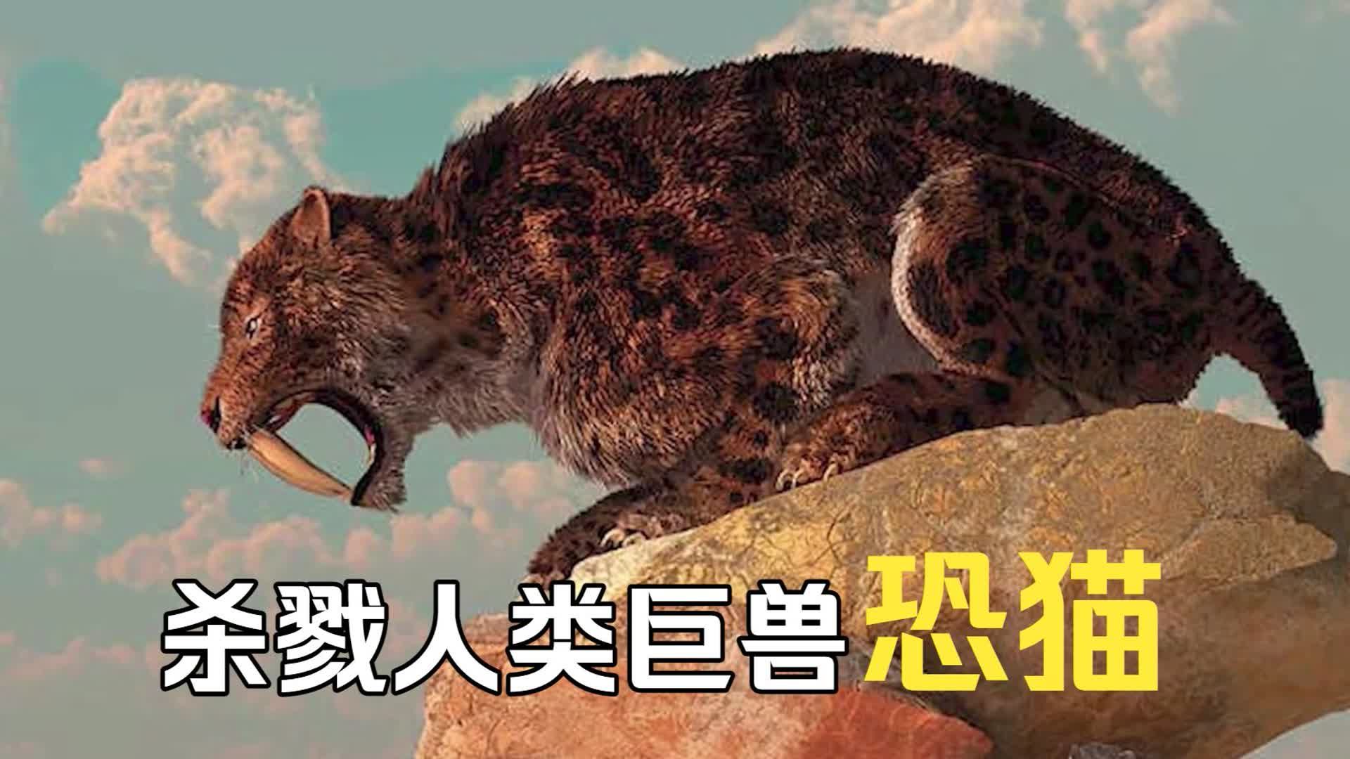 恐猫——在200万年前!黑夜里真的有专门吃人的怪物? #科普-深海暗普-深海暗普-哔哩哔哩视频