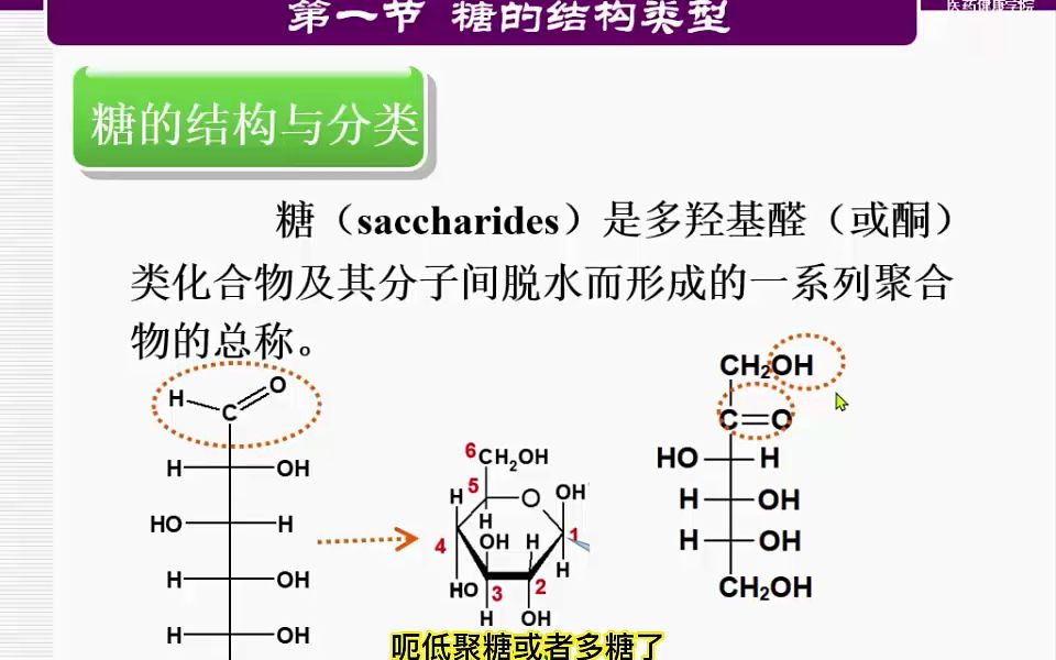 7.糖和苷的结构哔哩哔哩bilibili