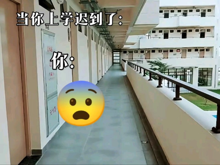 当你上学迟到时哔哩哔哩bilibili