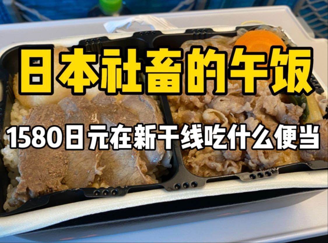 日本列车上吃什么?1580日元的双重牛肉加热便当真的不要太爽快~哔哩哔哩bilibili