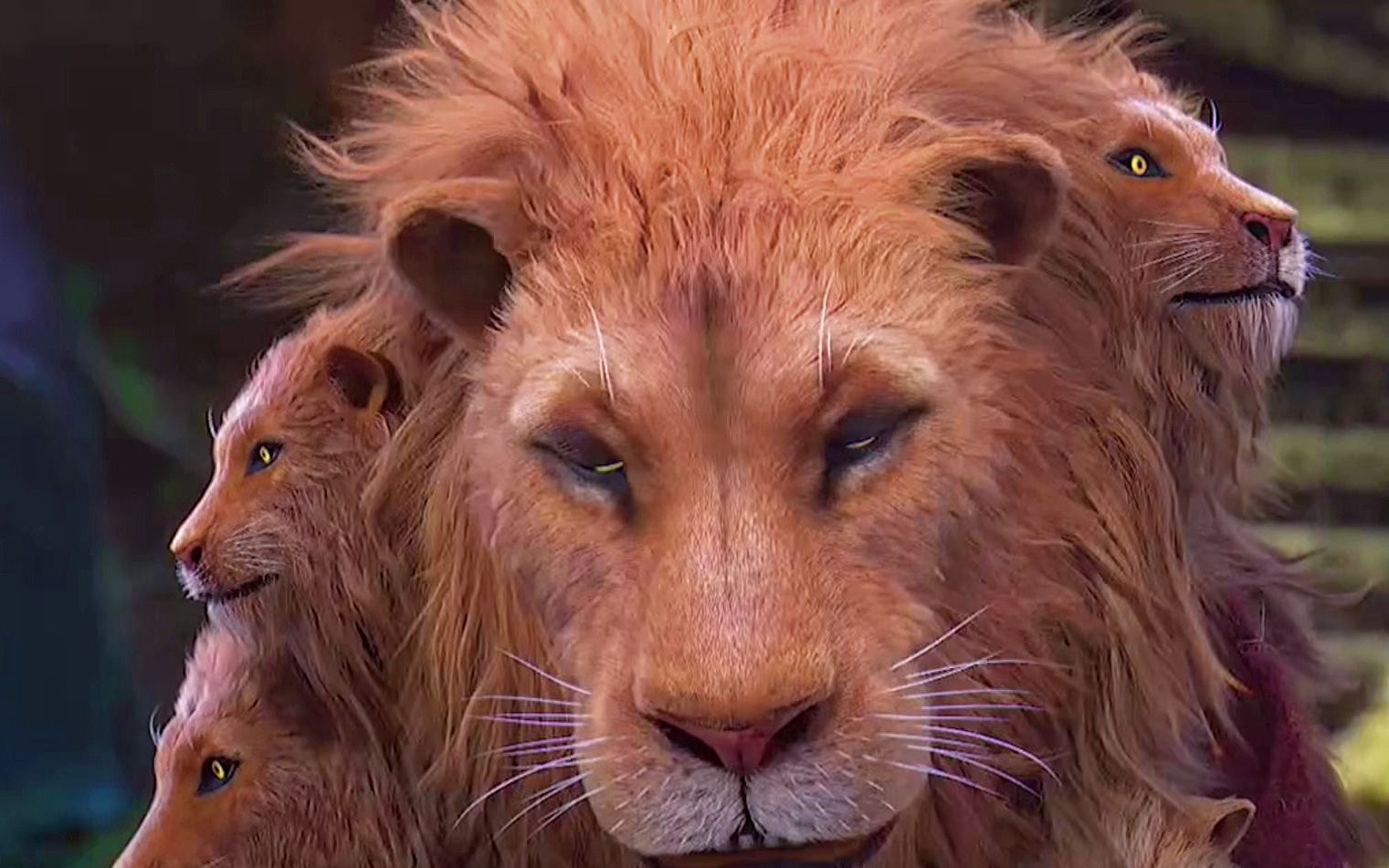 九头狮子:我.到哪都是当大哥的.