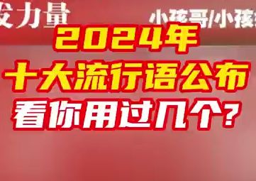 2024年十大流行语公布哔哩哔哩bilibili