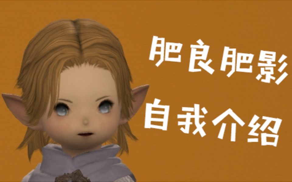 ff14最终幻想14肥肥剧场肥良肥影的自我介绍jojo梗第三弹
