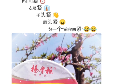 前程似锦哔哩哔哩bilibili