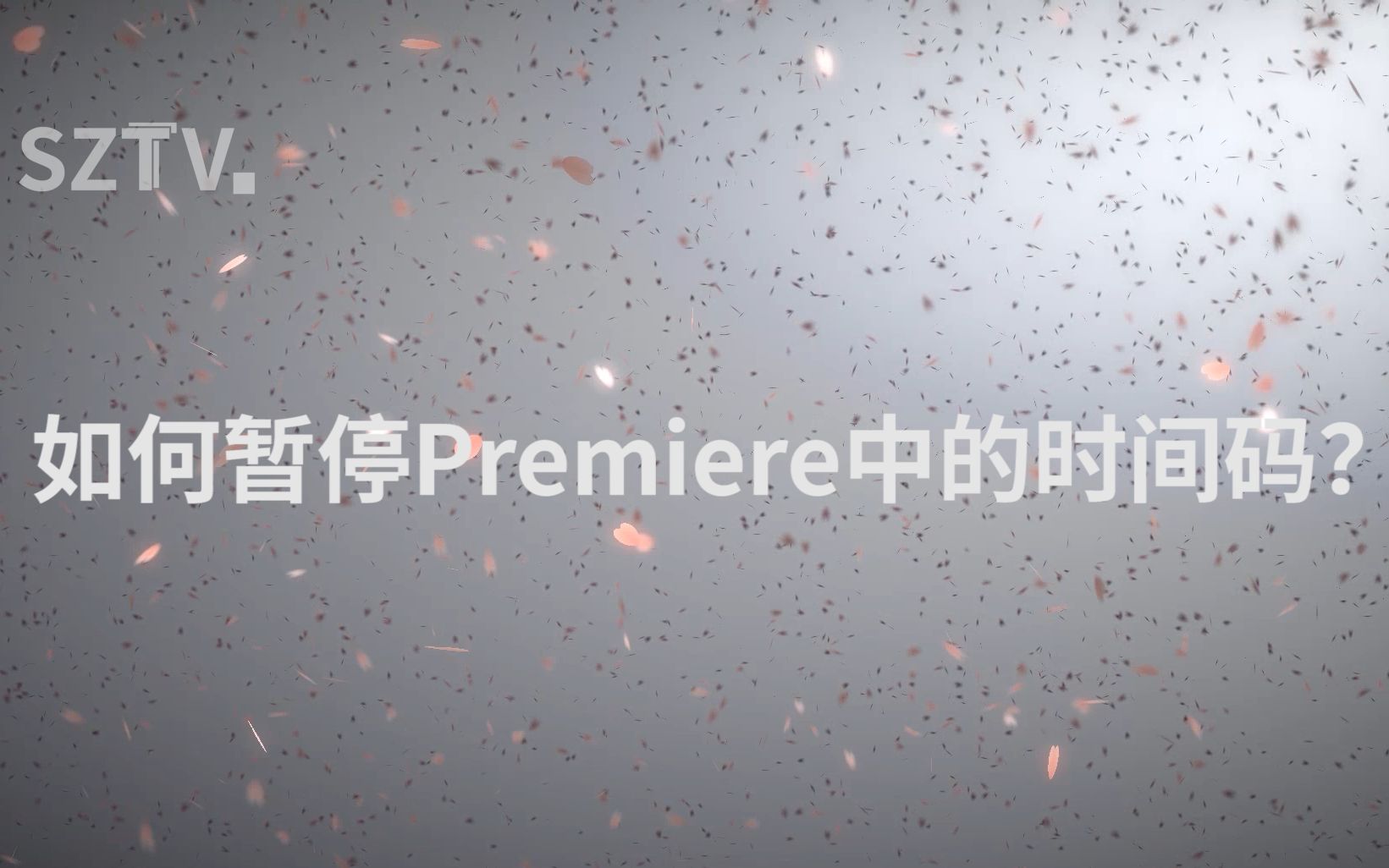 如何暂停Premiere中的时间码哔哩哔哩bilibili