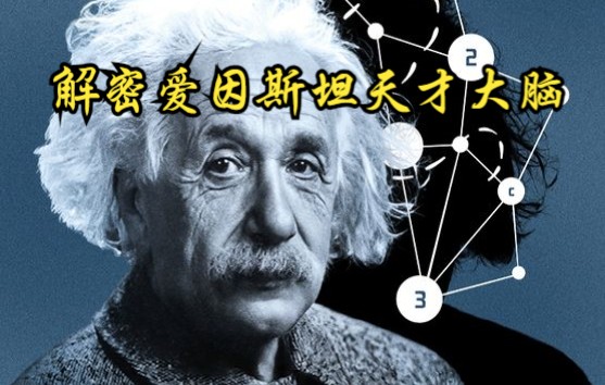 [图]【英国】【纪录片】解密爱因斯坦天才大脑 Decipher Einstein's genius brain