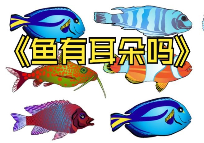 鱼有耳朵吗