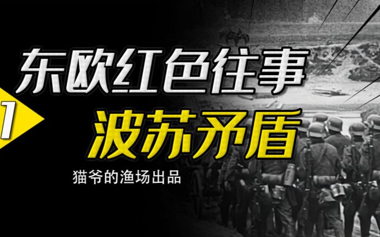 走入死胡同的波兰,为什么第一个放弃社会主义的国家是波兰?哔哩哔哩bilibili