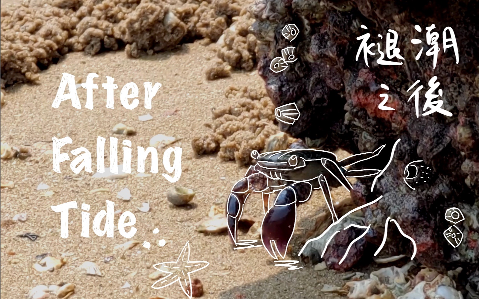 [图]退潮之后 After Falling Tide