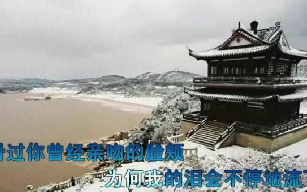 [图]飘雪 - 韩雪，雪花像绽放的礼花，天地间肆意地飘洒