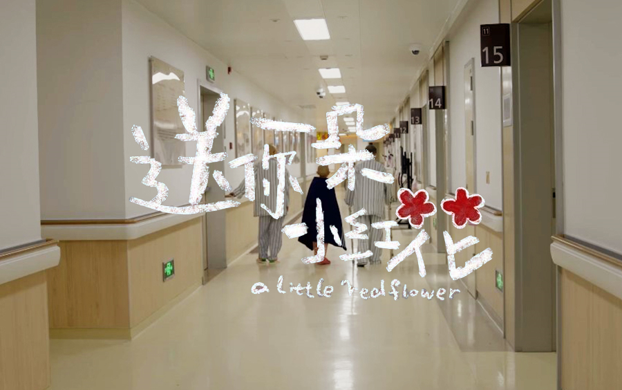 【人间世】送你一朵小红花