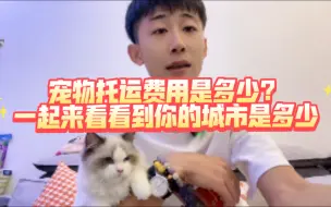 Tải video: 关于宠物托运费用一个视频，看看到你家里费用是多少？全国各地都可以飞哦，喜欢猫咪的可以给大鹏点个关注哦。