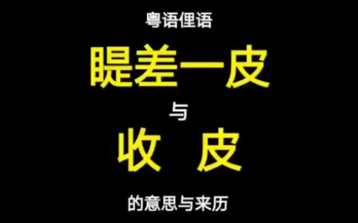 粤语俚语“收皮”与“睼差一皮”的意思与来历,原来又与番摊有关哔哩哔哩bilibili