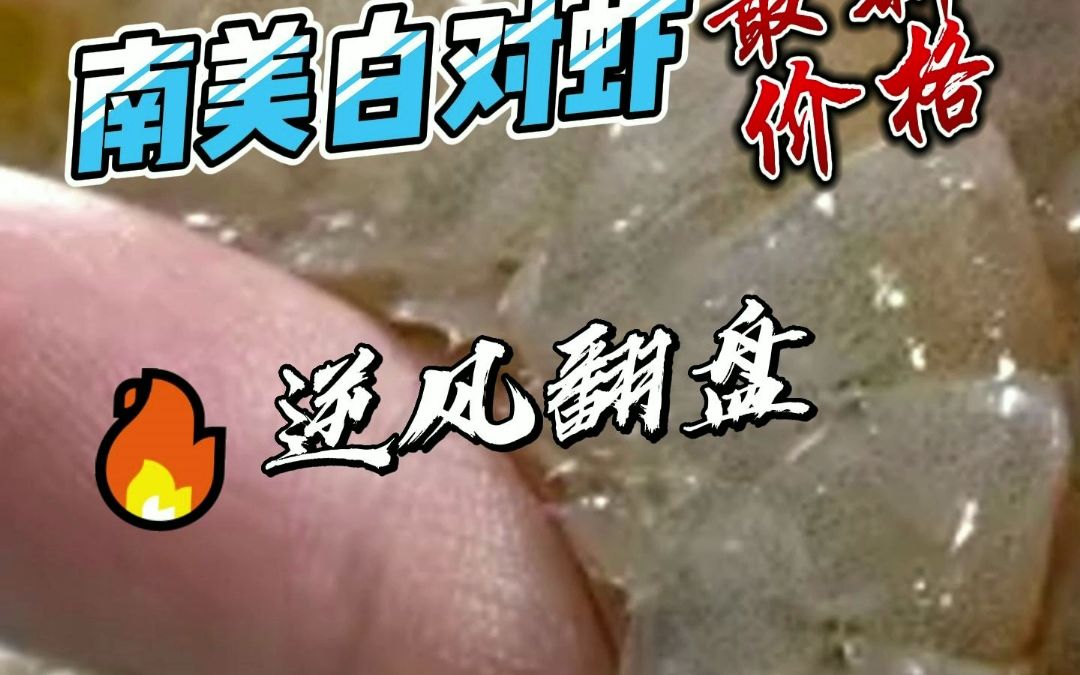 虾价逆风翻盘!这里的虾价上涨幅度高达5元!3月16日最新南美白对虾报价哔哩哔哩bilibili