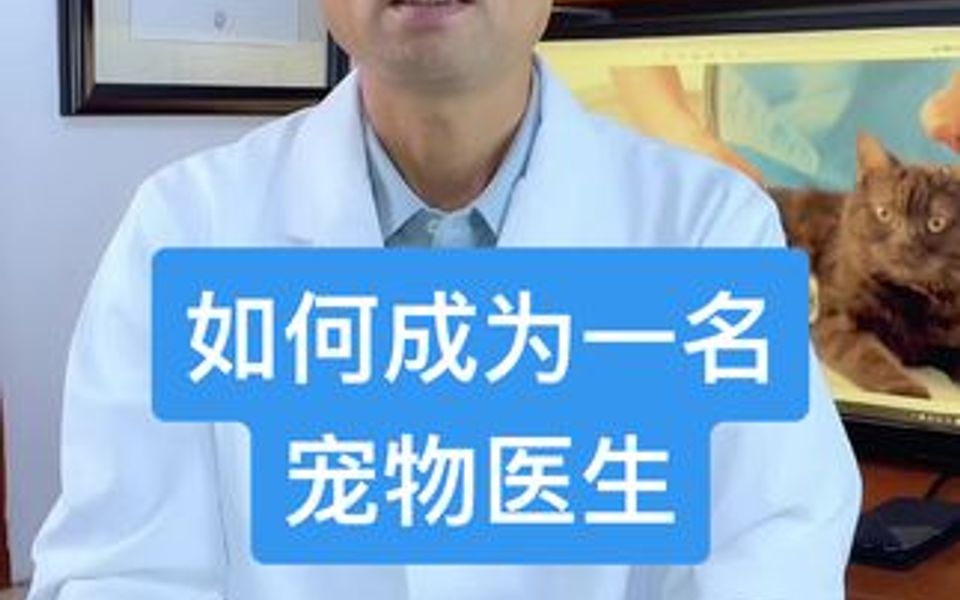 今天给大家讲解如何做才能成为一名宠物医生,还有给医生学徒们的建议哔哩哔哩bilibili