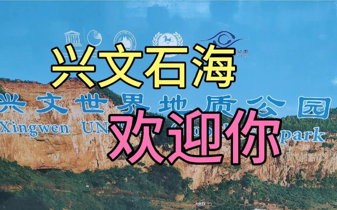 见证上亿年沧海桑田岁月变迁,四川宜宾兴文石海攻略简介哔哩哔哩bilibili